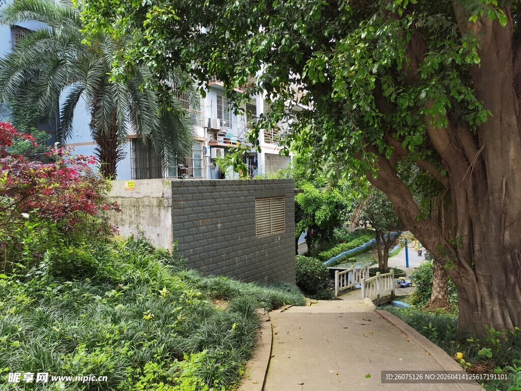 幽静花园小径景观