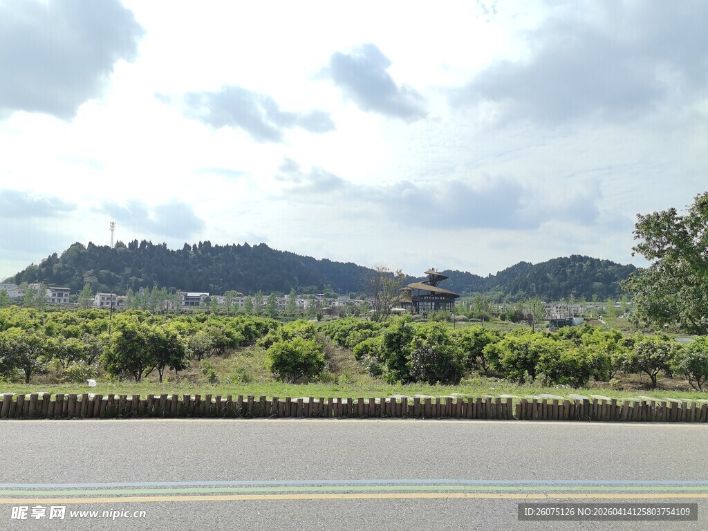 公路旁的青山绿野风光