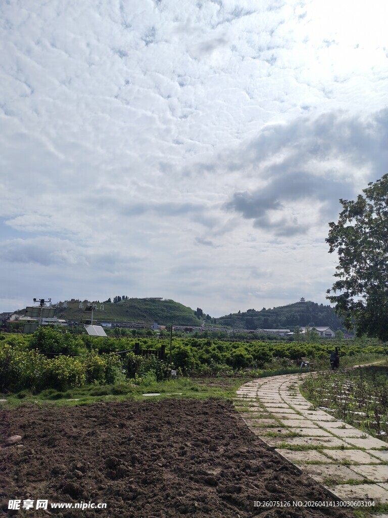 乡村田野间的小路与风光