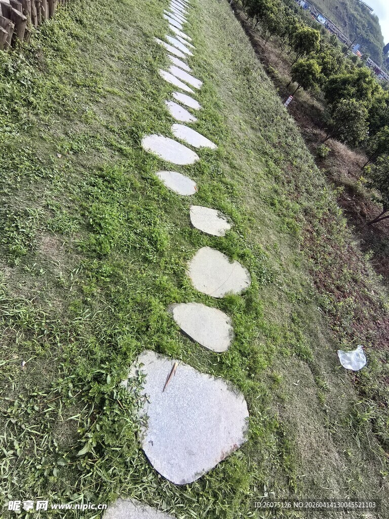 草地中的石板小径