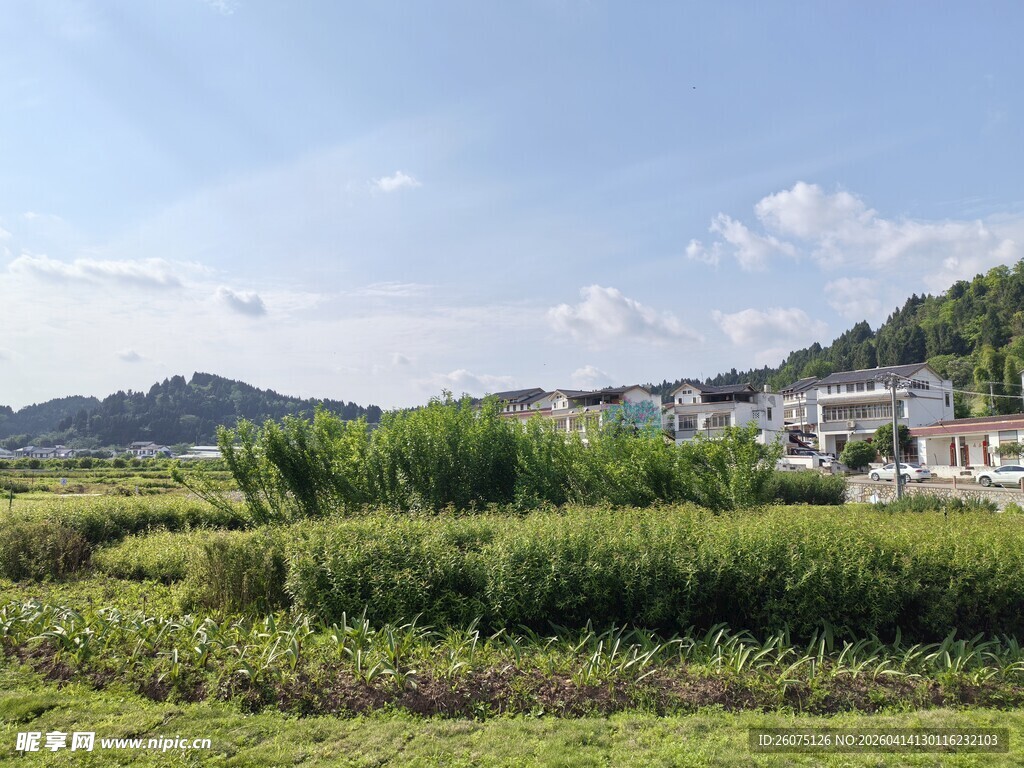 田园风光绿野与远山相映