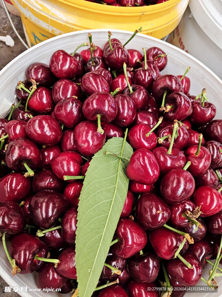 新鲜饱满的樱桃一盘