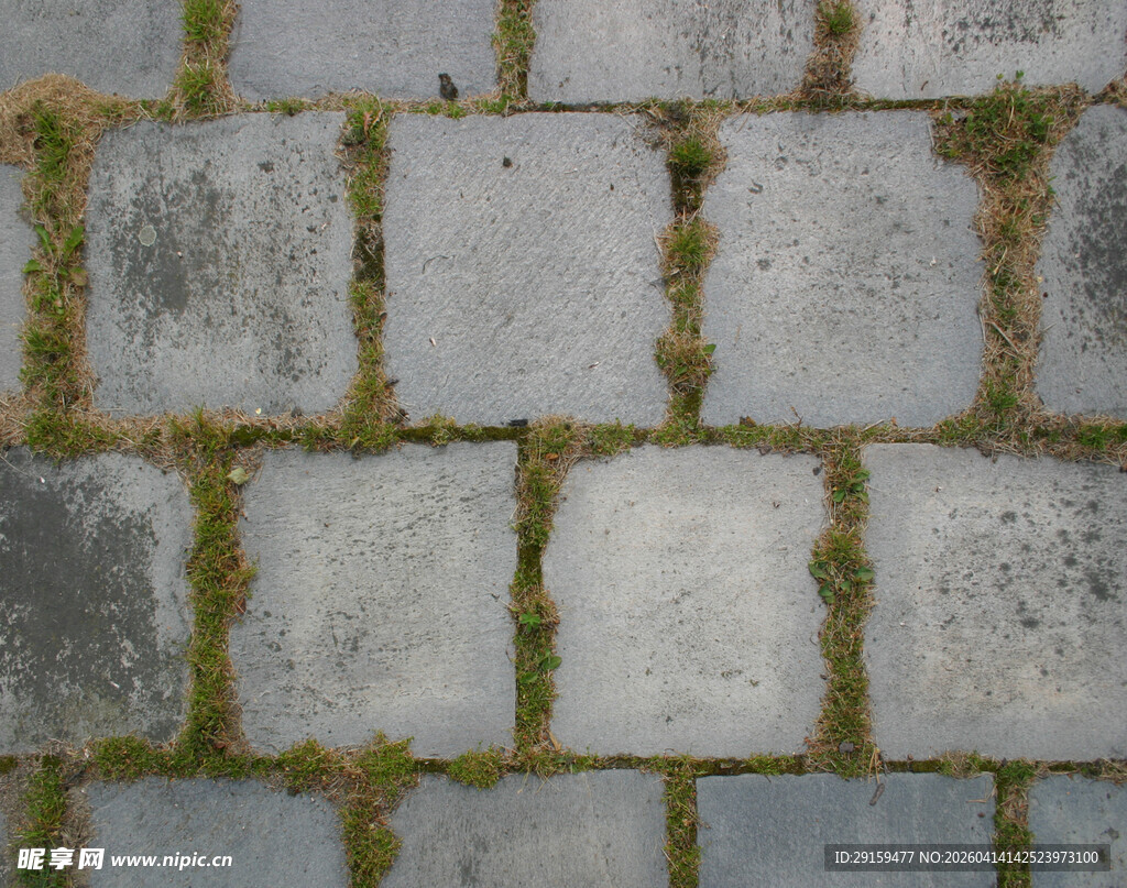 石板路缝隙间的绿意