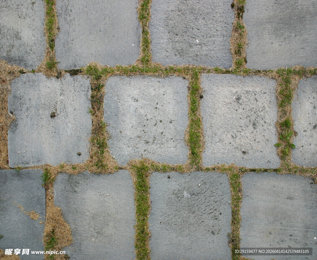 长满青苔的灰色石砖路面