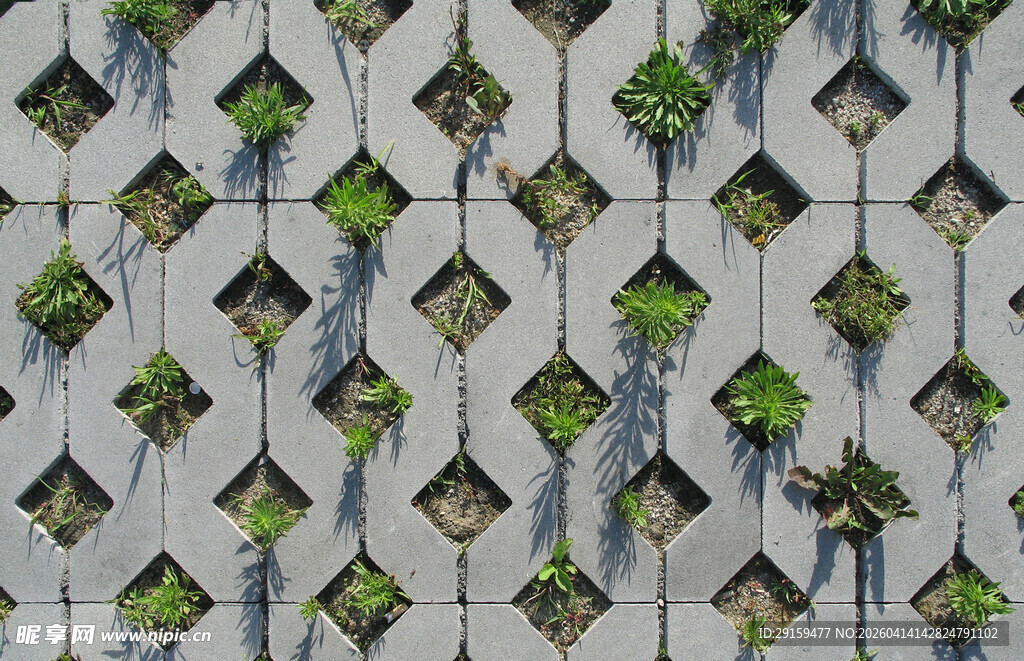 几何图案绿植墙面装饰