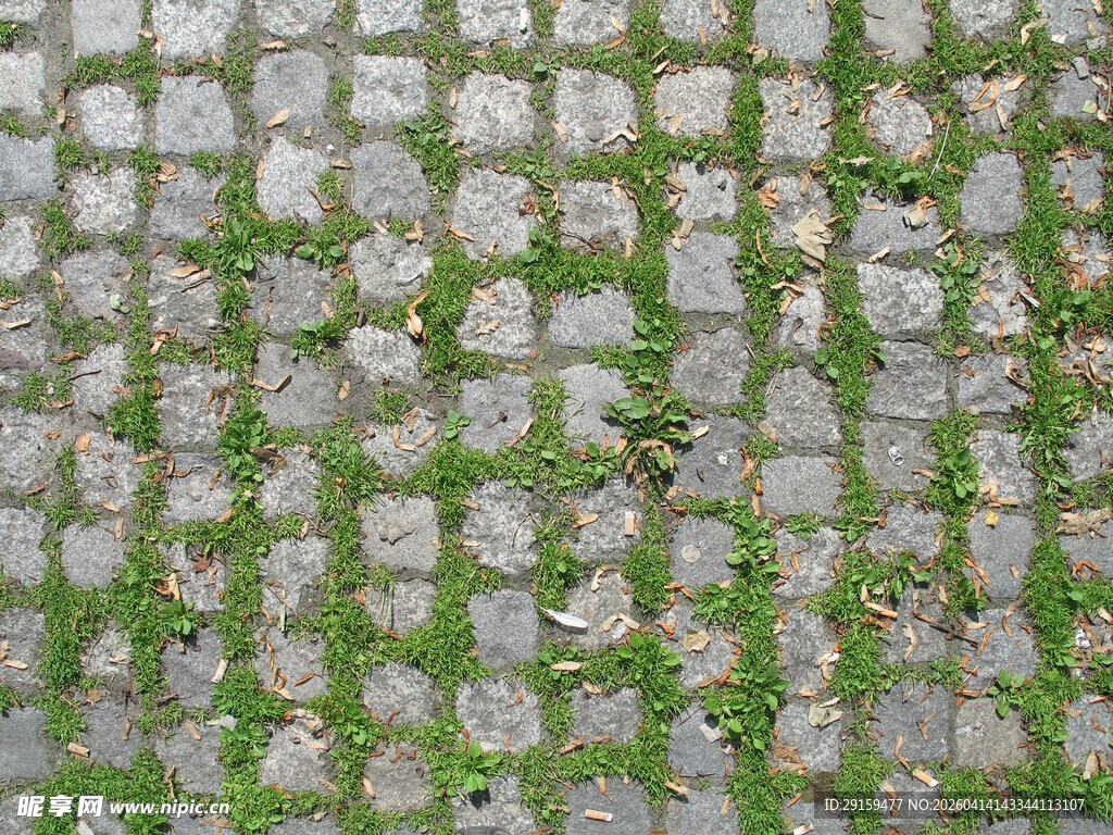 石缝生绿的古朴石板路