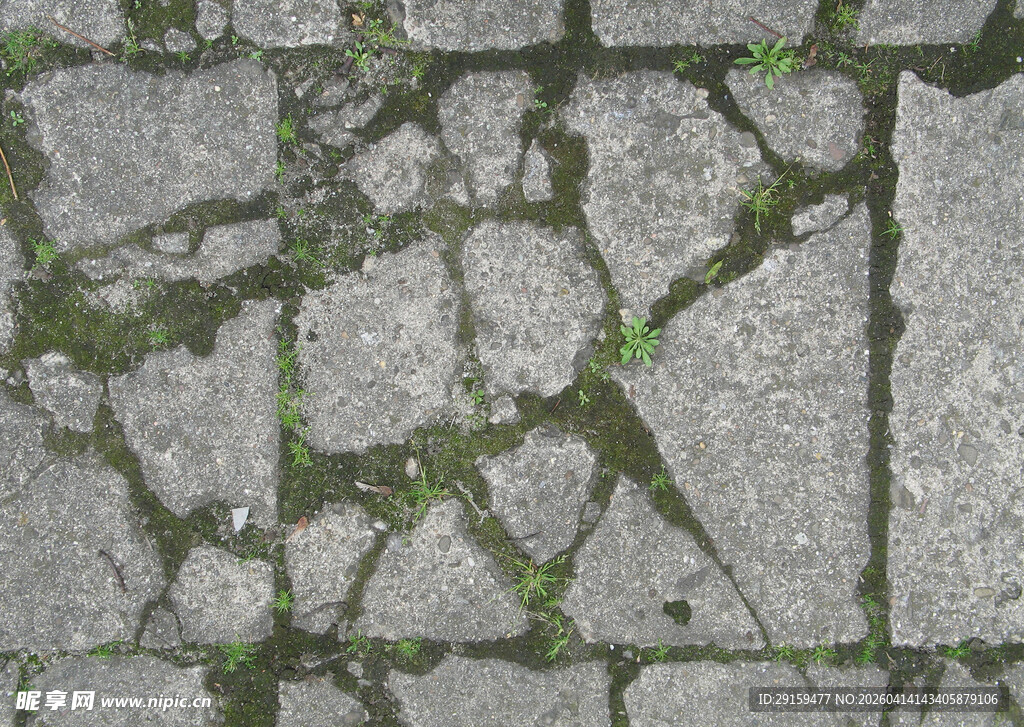 长满青苔的石板路面