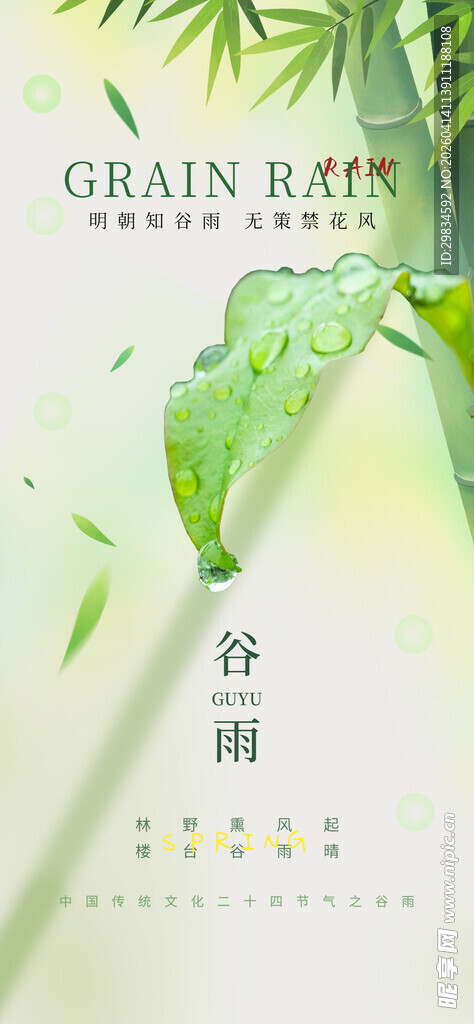 谷雨海报