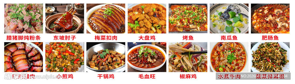 多样美味菜肴展示