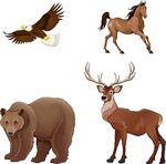 野生动物集合