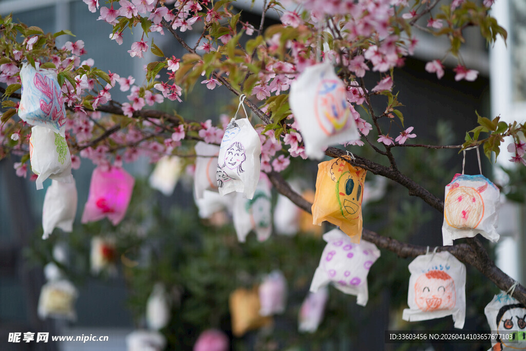 樱花树下的祈愿牌