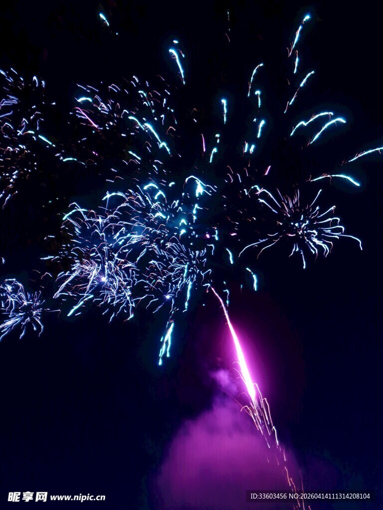夜空中绚烂绽放的烟花