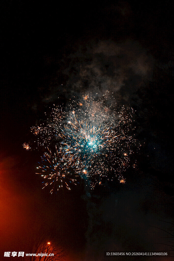 夜空中绚烂的烟花绽放