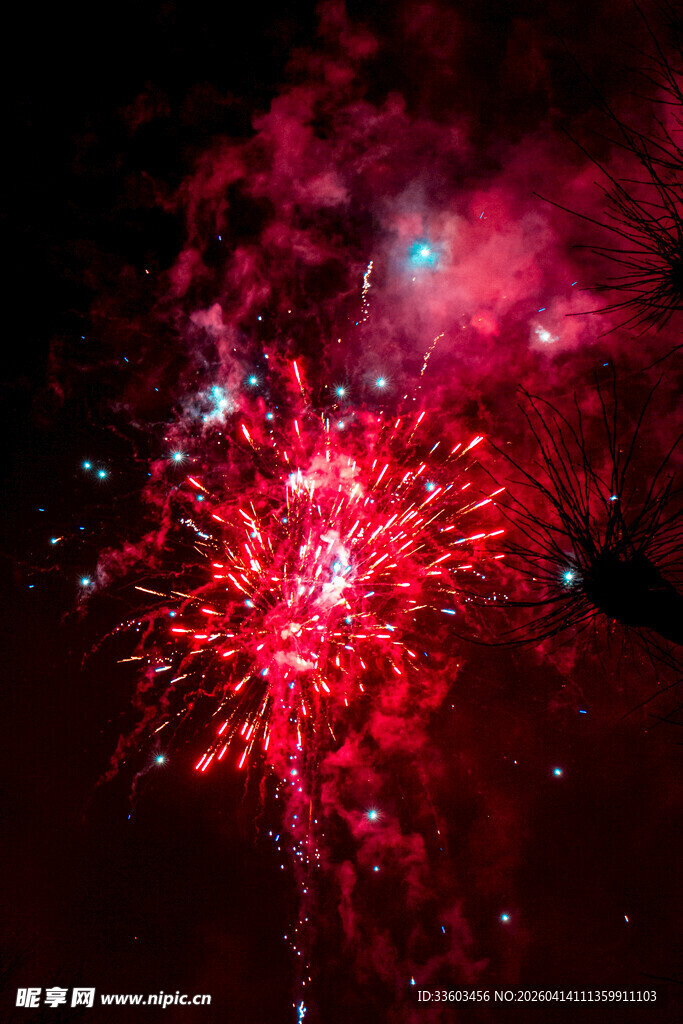 绚丽红色烟花绽放瞬间