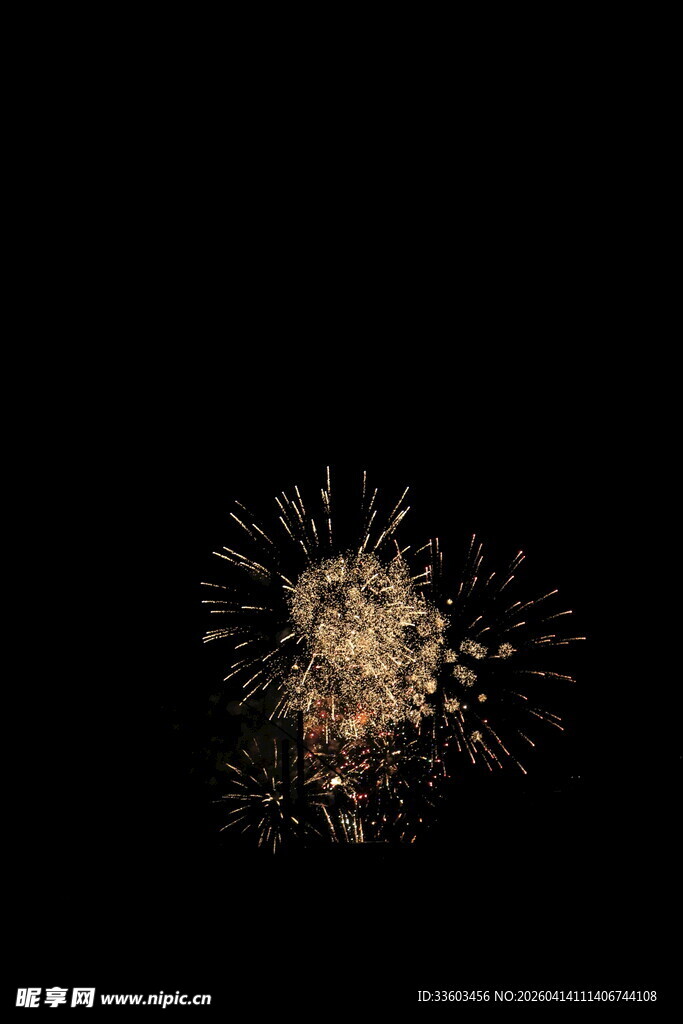 夜空中绚烂绽放的烟花