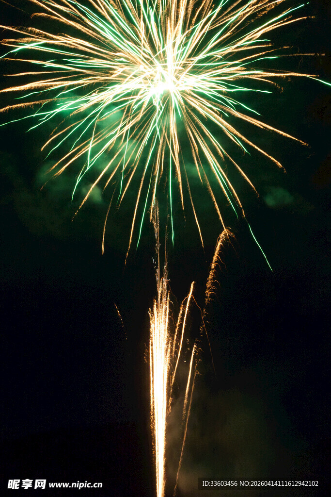 夜空中绽放的绿色烟花