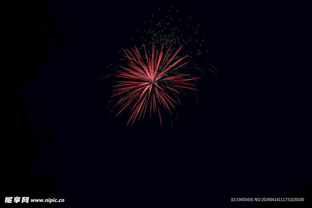 夜空中绽放的绚丽烟花