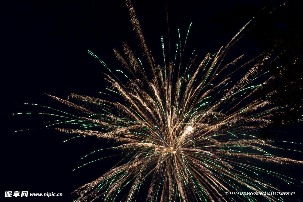 夜空中绽放的绚丽烟花