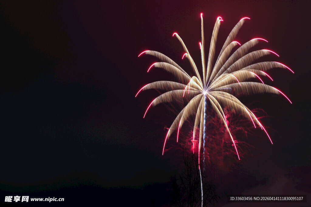 夜空中绽放的绚丽烟花