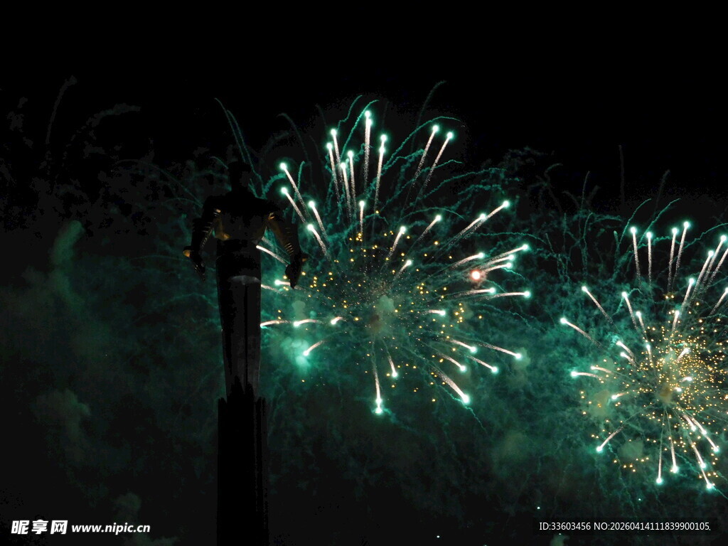 夜空中绚烂的烟花绽放