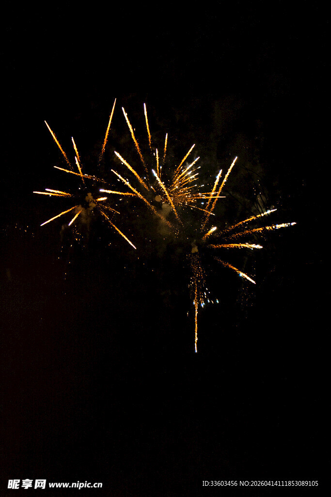 夜空中绽放的绚烂烟花