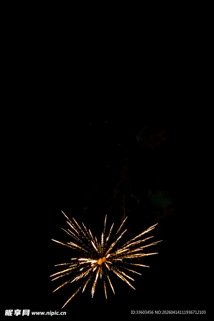 夜空中绽放的绚烂烟花