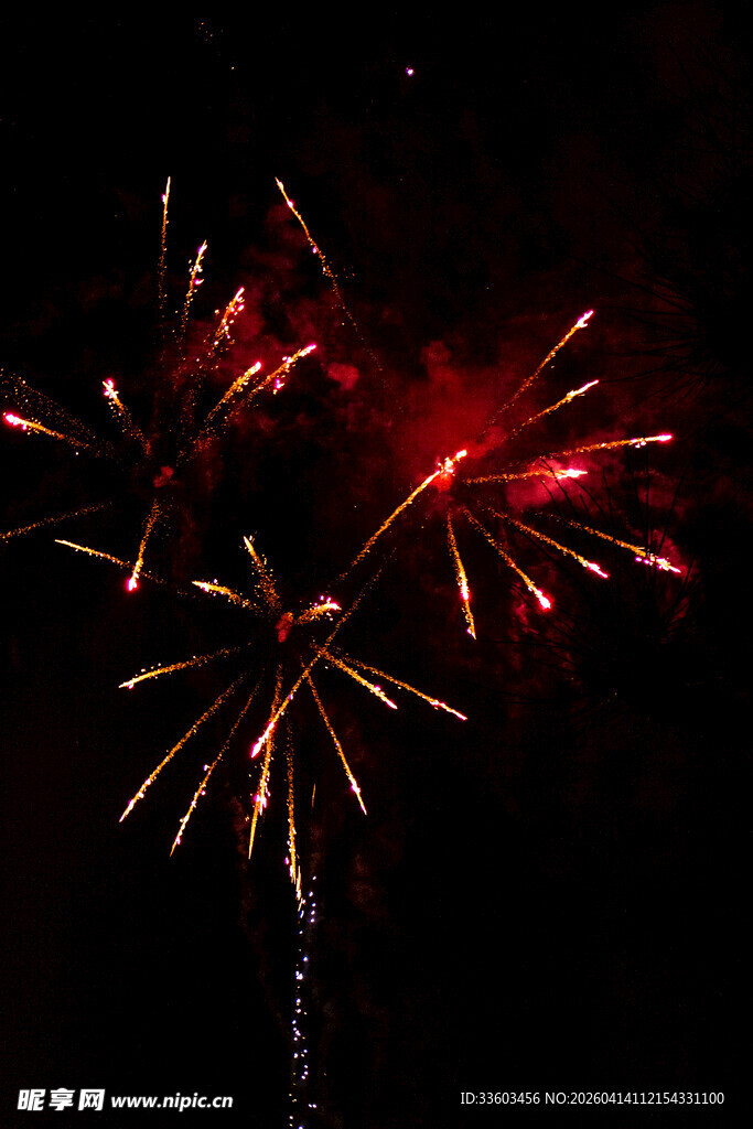 夜空中绚烂的红色烟花