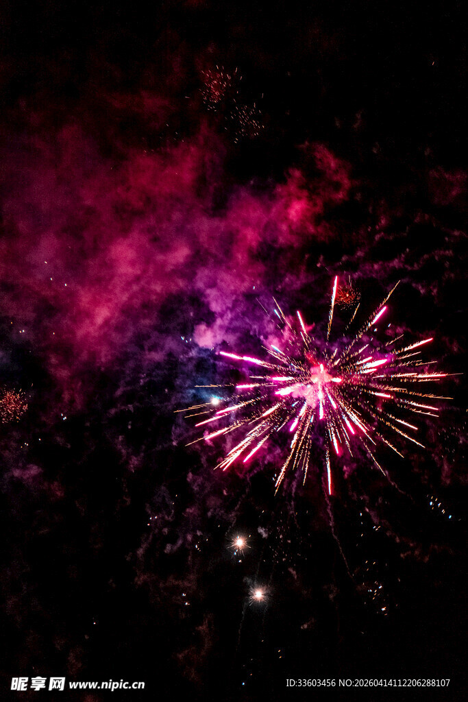 夜空中绚烂绽放的烟花