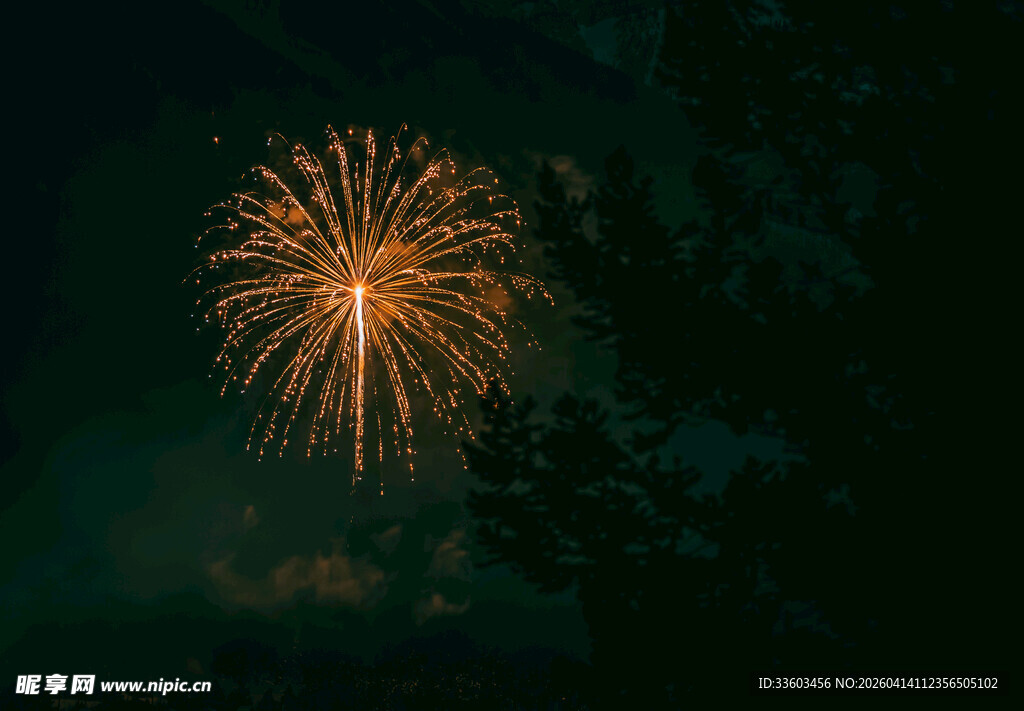 夜空中绚烂绽放的烟花
