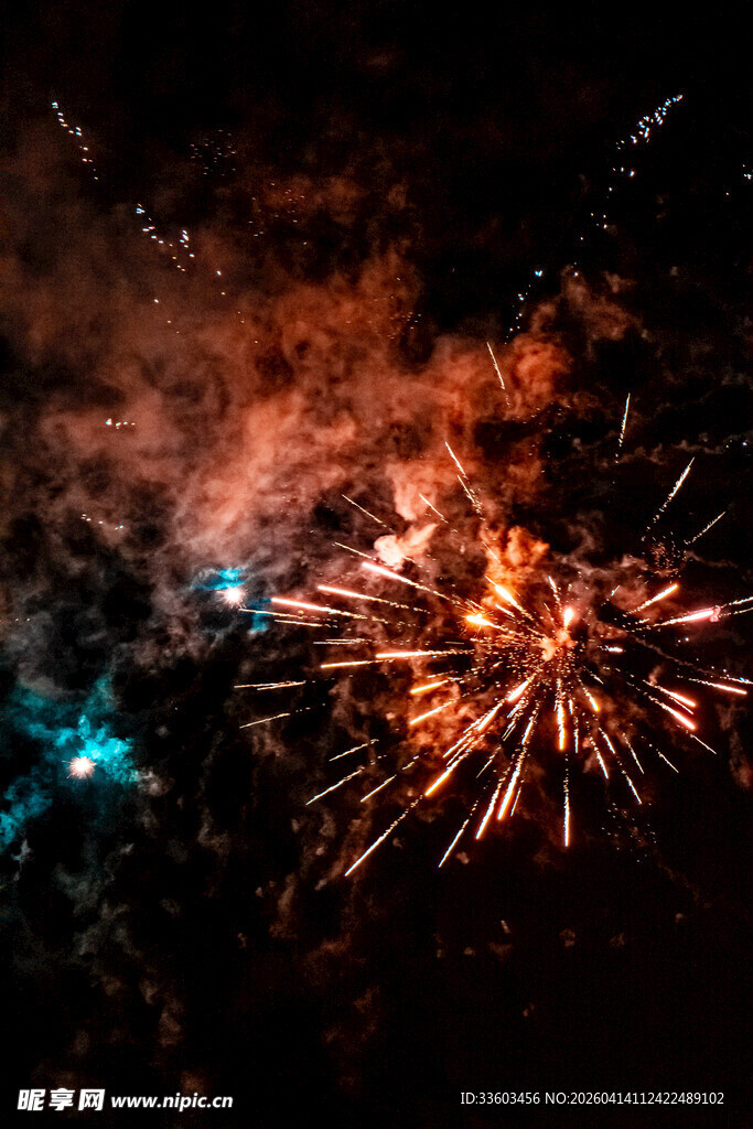 夜空中绚烂的烟花绽放