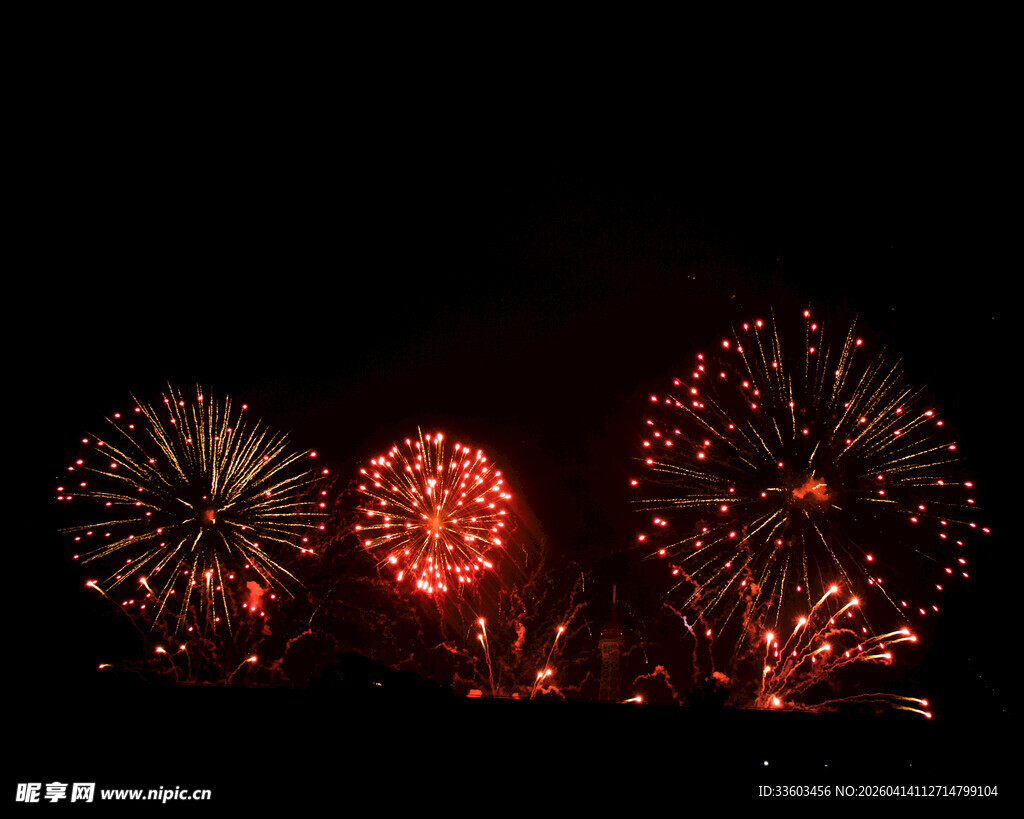 夜空中绚烂的烟花绽放