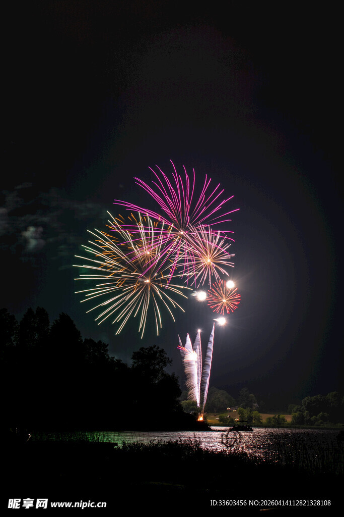 夜空中绚烂绽放的烟花