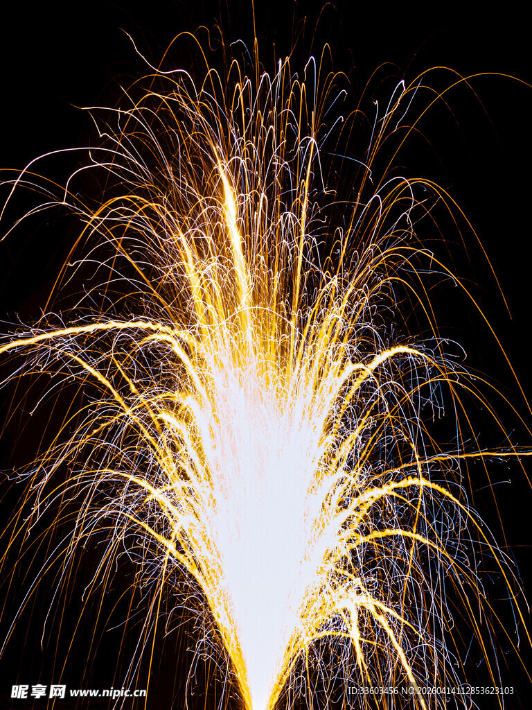 绚丽烟花绽放夜空