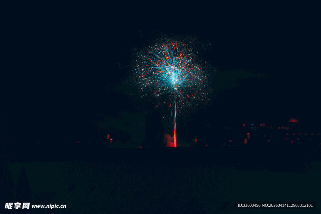 夜空中绽放的绚丽烟花