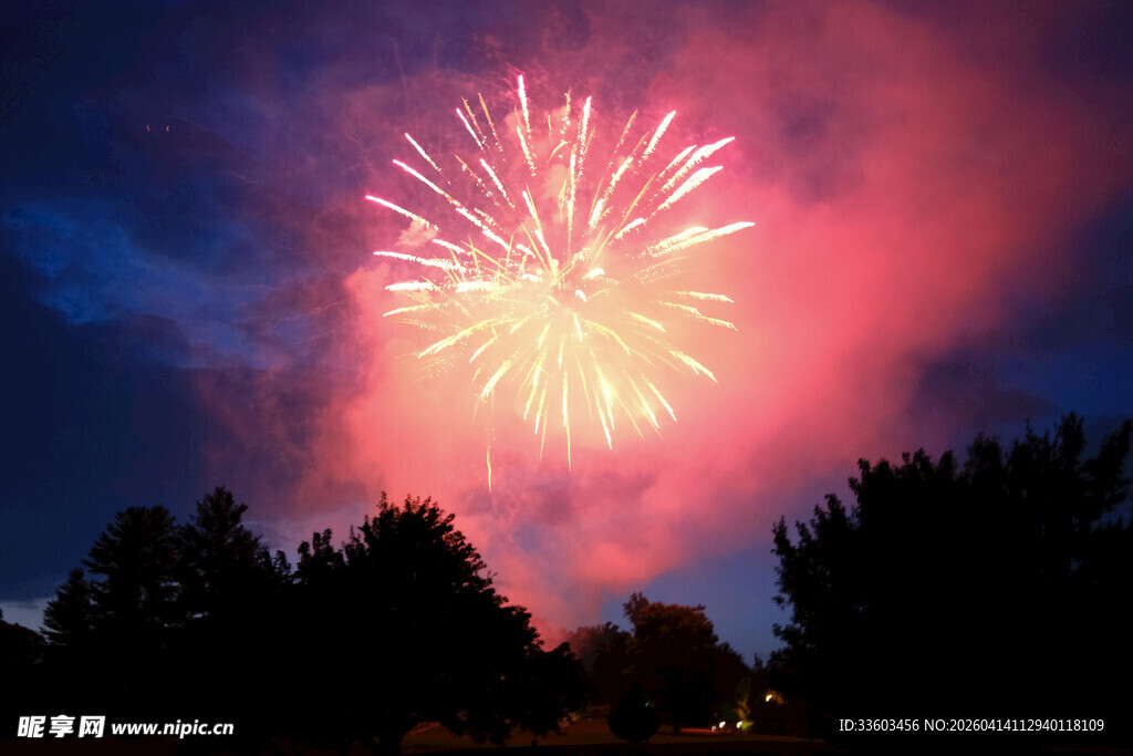 夜空中绚烂的烟花绽放