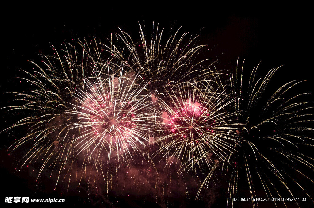夜空中绚丽绽放的烟花