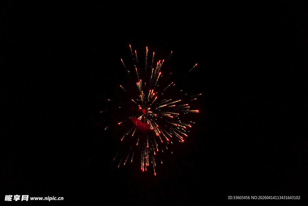 夜空中绽放的绚丽烟花