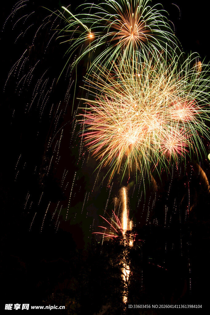夜空中绚烂的烟花绽放