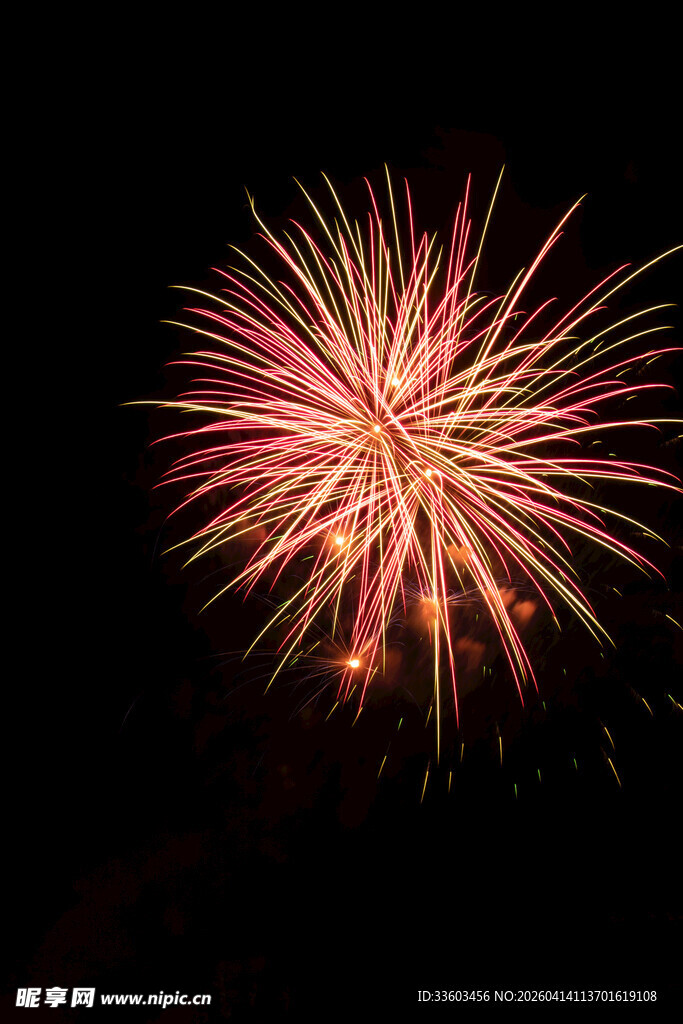 夜空中绚丽绽放的烟花