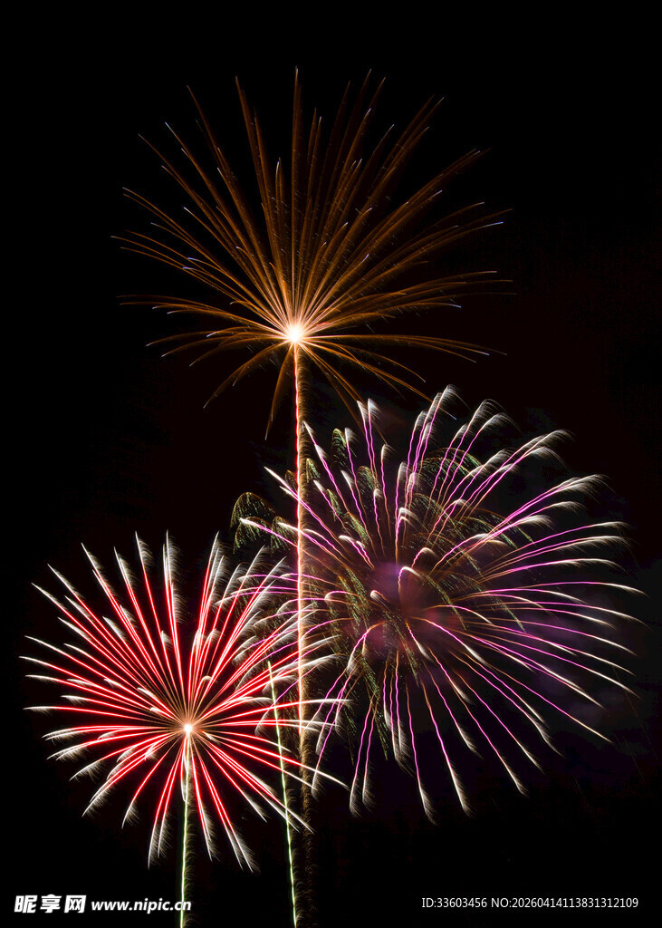 绚丽烟花绽放夜空