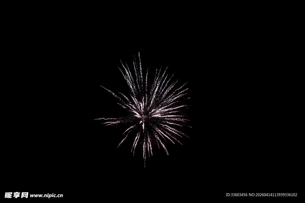 夜空中绽放的绚丽烟花