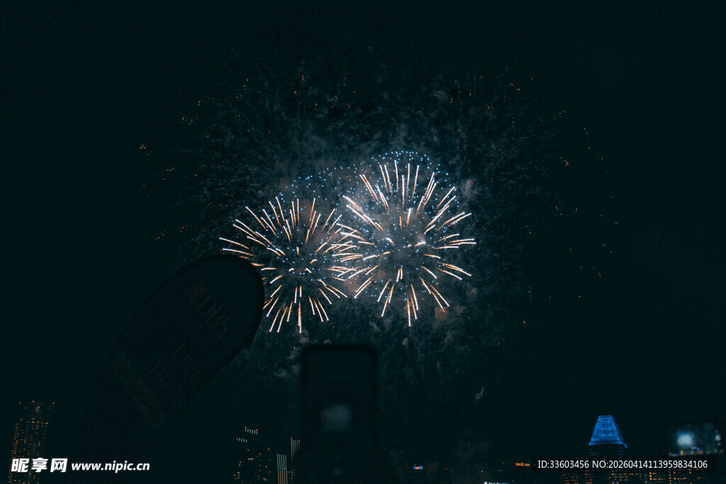 夜空中绚烂绽放的烟花