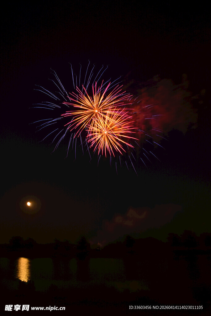 夜空中绚烂的烟花绽放