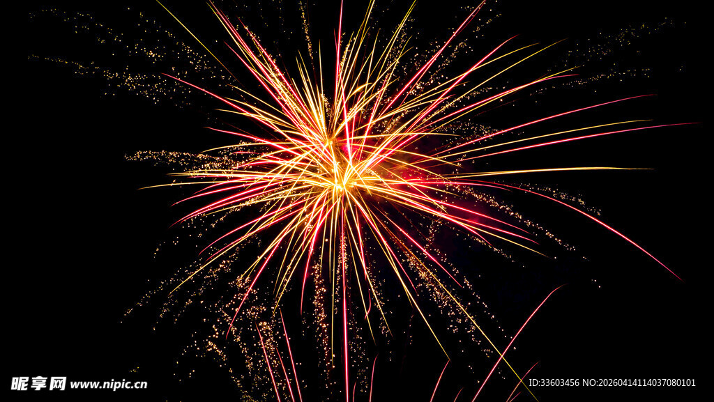 绚丽烟花绽放夜空