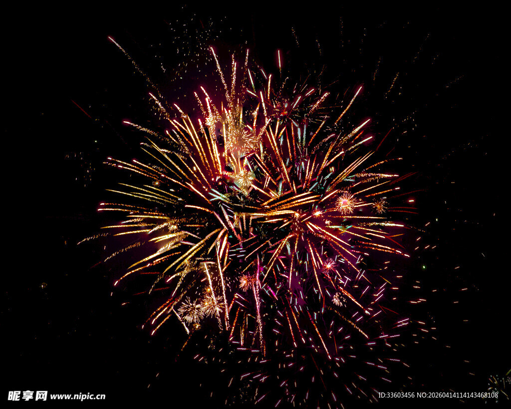 绚丽烟花绽放夜空