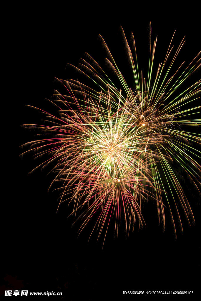 绚丽烟花绽放夜空