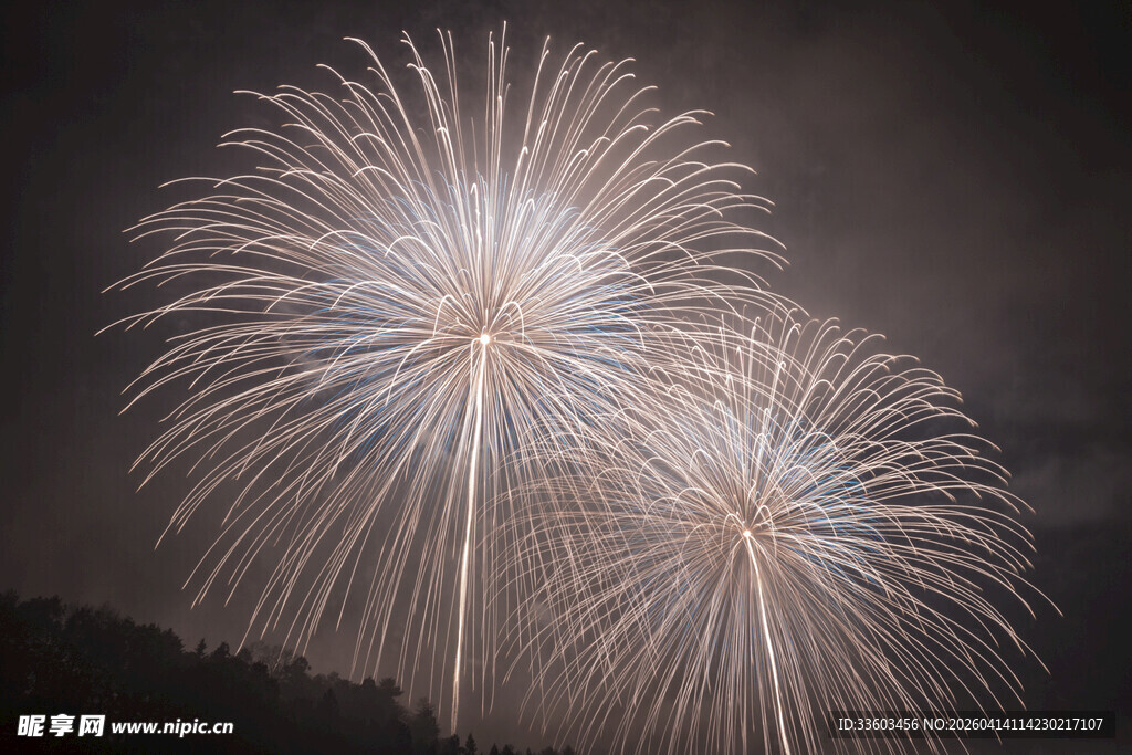 夜空中绚烂绽放的烟花