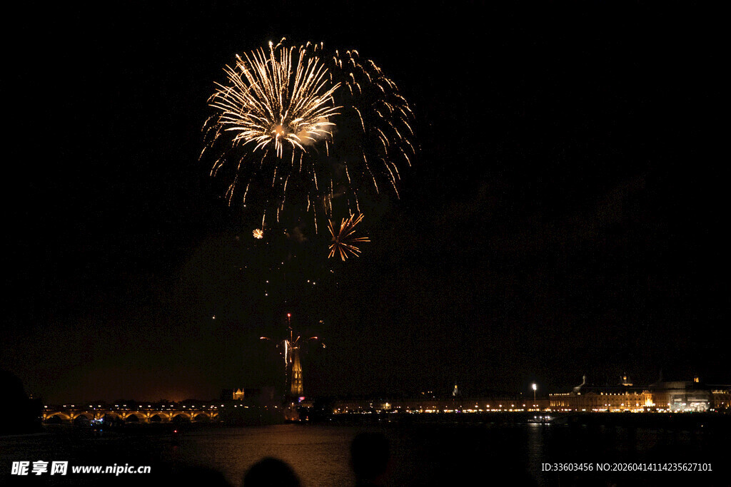 夜空中绚烂绽放的烟花