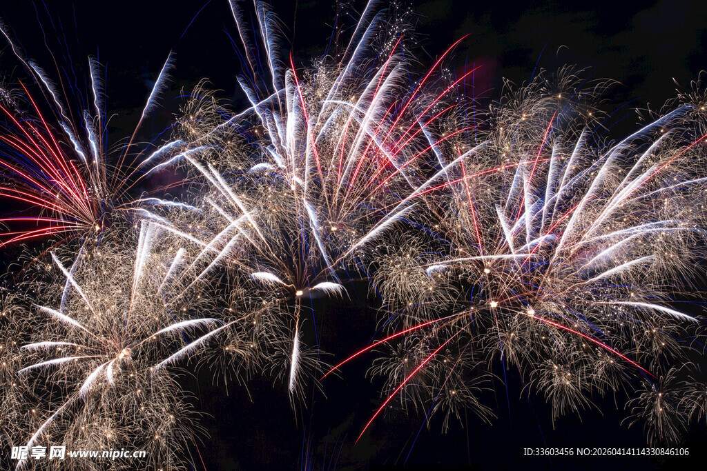 夜空中绚烂绽放的烟花