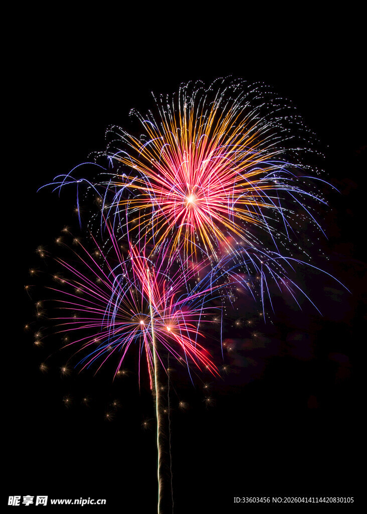 绚丽烟花绽放夜空